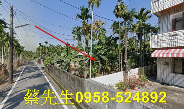 竹田農地拍賣-12