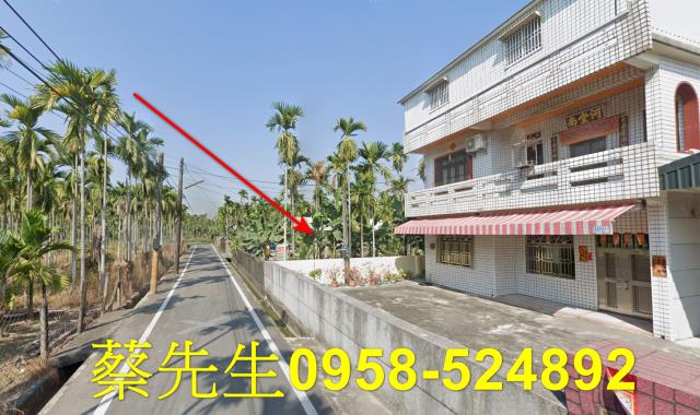 竹田農地拍賣-13