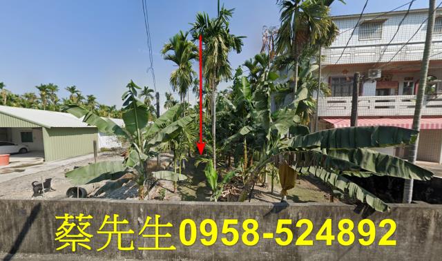 竹田農地拍賣-9