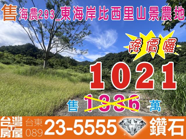 台東成功農地-1