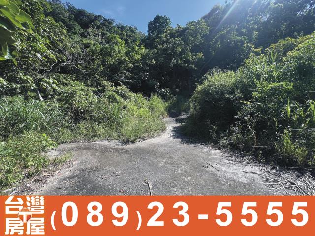 台東成功農地-2