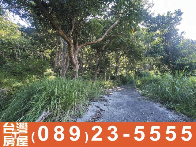 台東成功農地-3