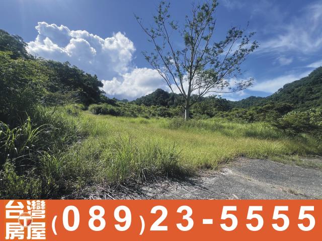 台東成功農地-4