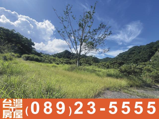 台東成功農地-5