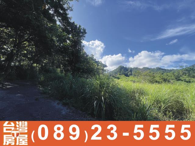 台東成功農地-6