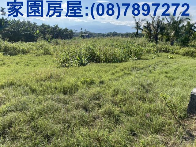 屏東潮州農地-4