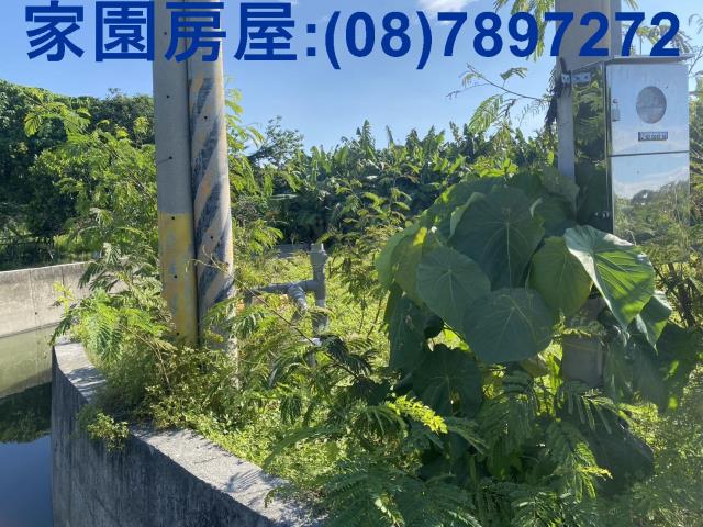 屏東潮州農地-5