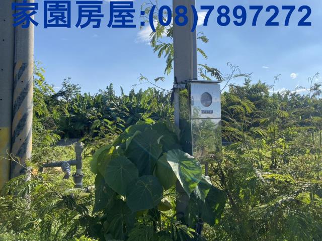 屏東潮州農地-6