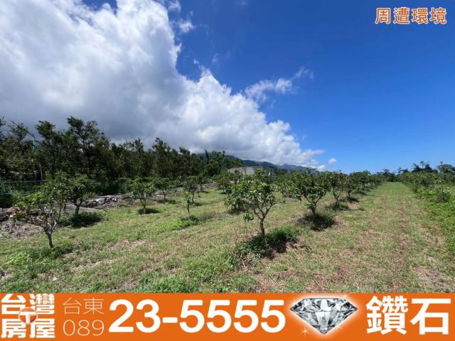 台東東河農地-3
