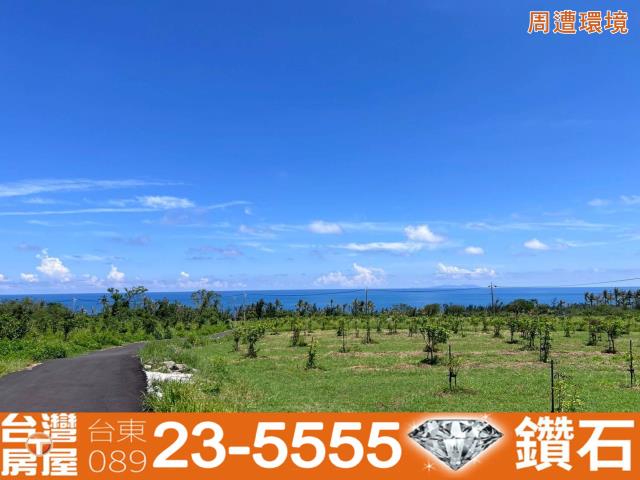 台東東河農地-8