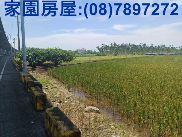 南州農地-3