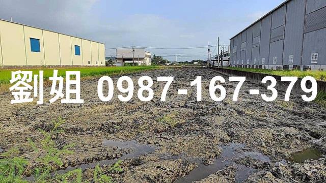 高雄阿蓮農地-2