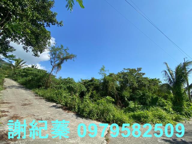 長濱農地-6