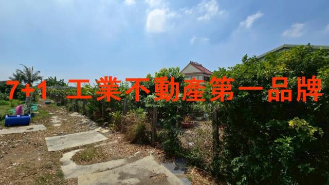 高雄大寮農地-3