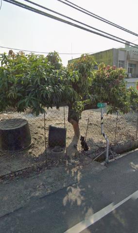 屏東九如拍賣農地-12