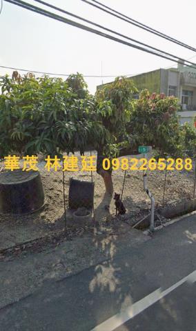 屏東九如拍賣農地-3