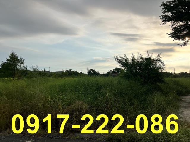 高雄岡山農地-1