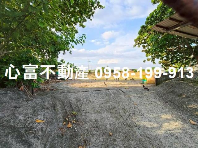 高雄阿蓮農地-1