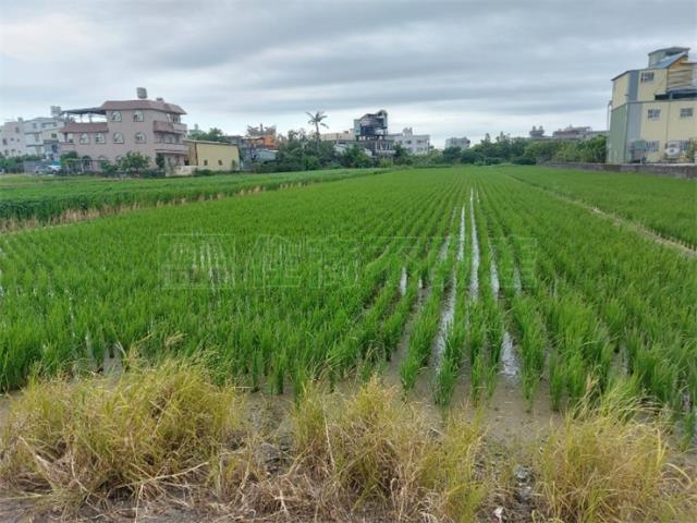 高雄橋頭農地-1