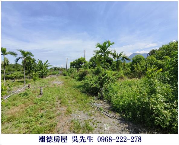 屏東高樹農地-10