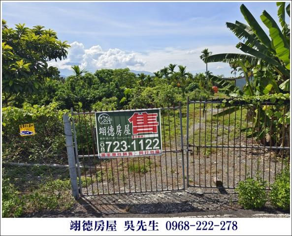 屏東高樹農地-2