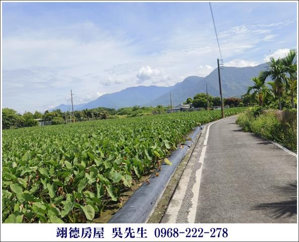 屏東高樹農地-4