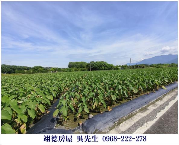 屏東高樹農地-5