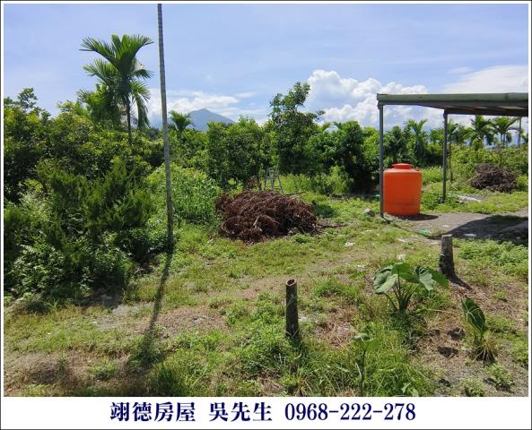 屏東高樹農地-8