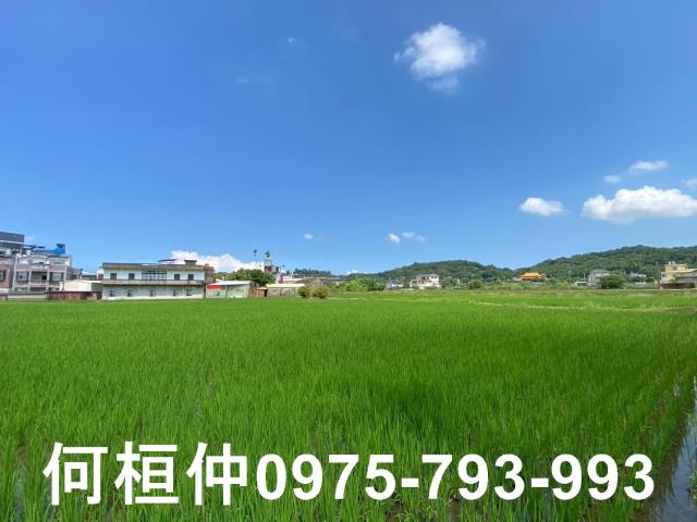 後龍農地-4