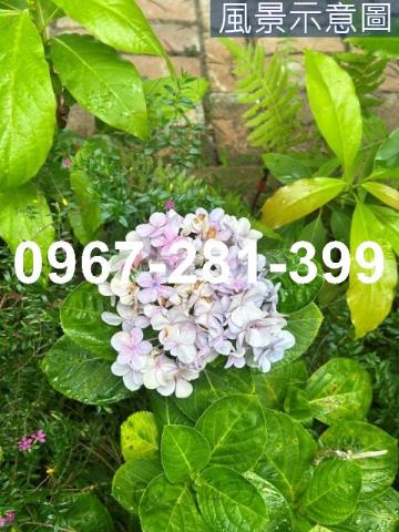 苗栗頭份農地-11