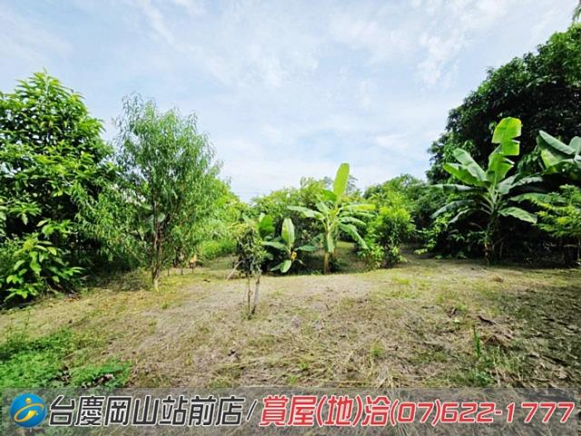 高雄岡山農地-10