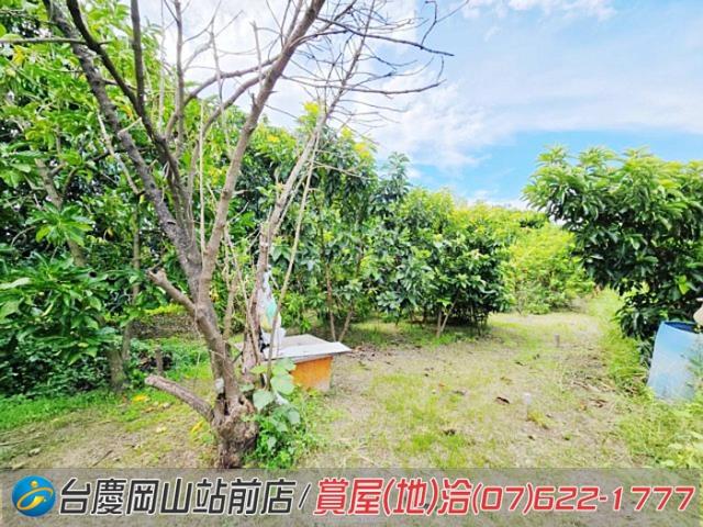 高雄岡山農地-12