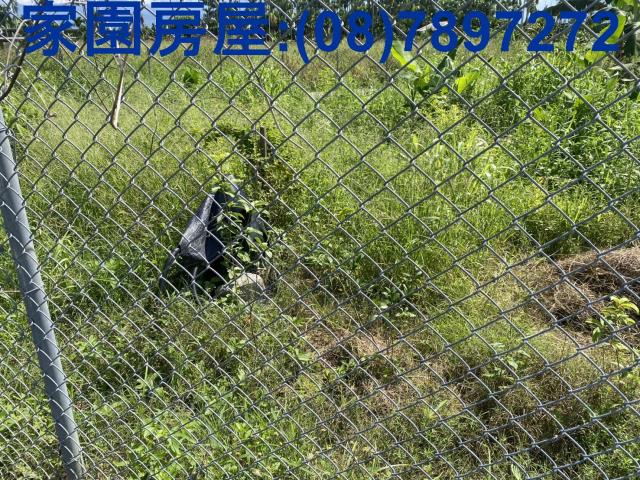 屏東萬巒農地-4