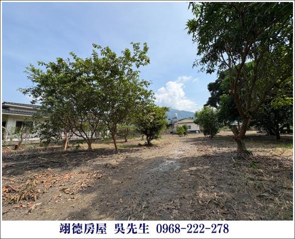 屏東高樹農地-10