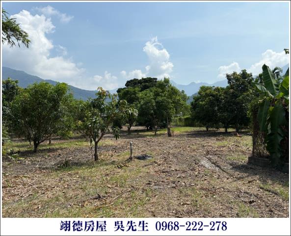 屏東高樹農地-11