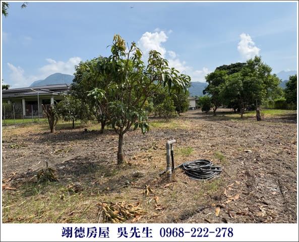 屏東高樹農地-12