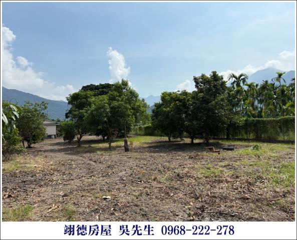 屏東高樹農地-13