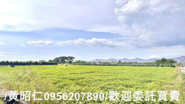 高雄農地-9