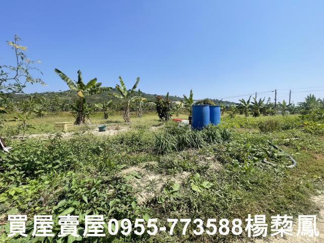 高雄岡山農地-12