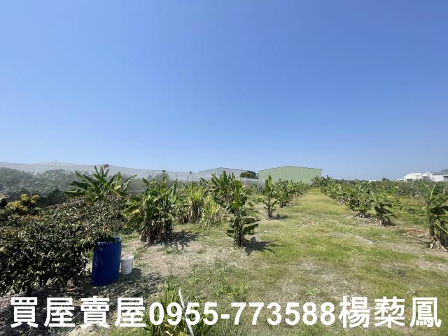 高雄岡山農地-6