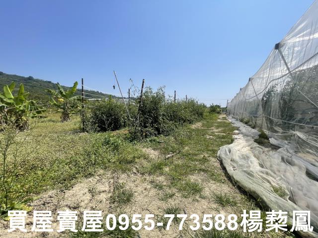 高雄岡山農地-9