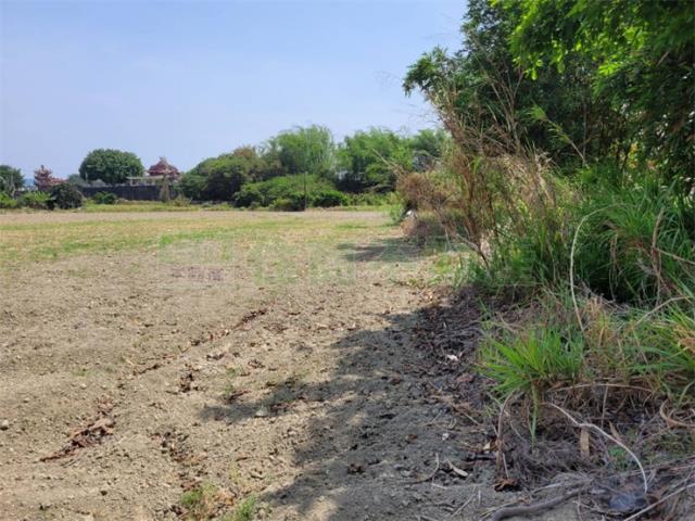 高雄阿蓮農地-3