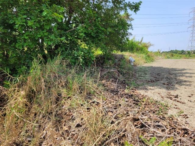 高雄阿蓮農地-7