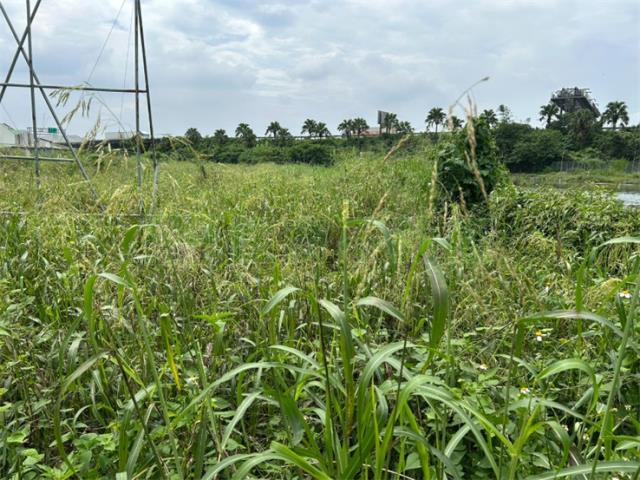 屏東九如農地-2