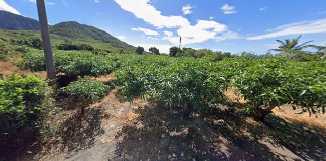 屏東枋山法拍農地-1