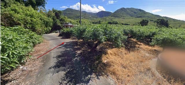 屏東枋山法拍農地-5