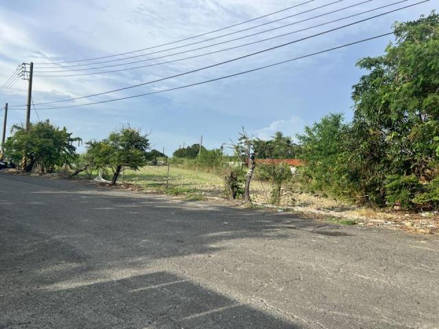 高雄梓官農地-1