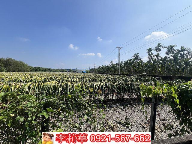 屏東麟洛農地-12