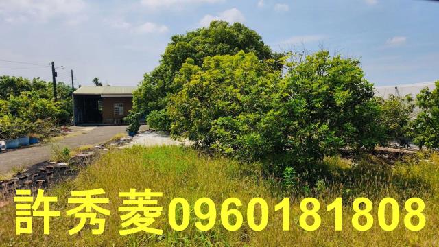 高雄阿蓮農地-3