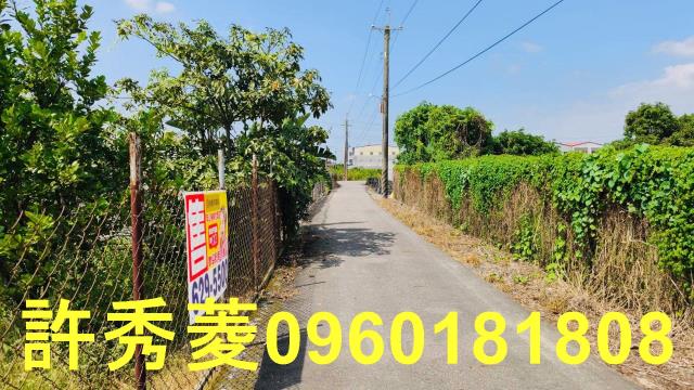 高雄阿蓮農地-6